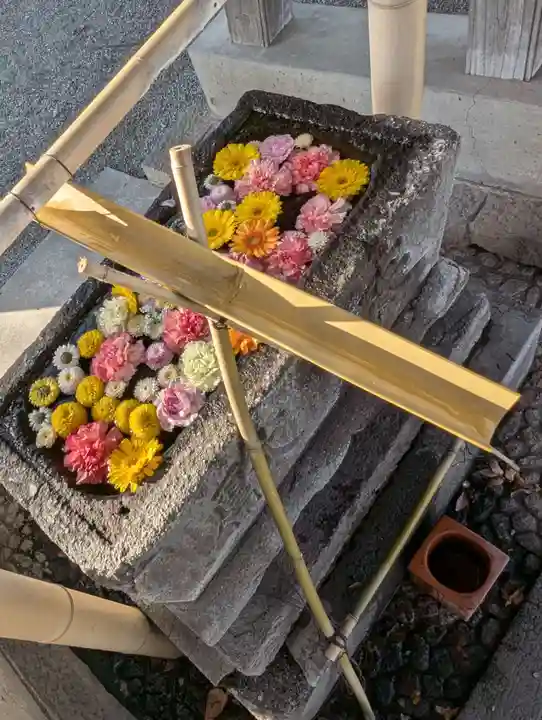 相模原氷川神社(神奈川県)