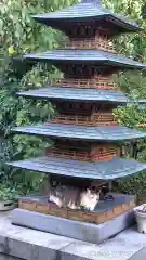 総在寺の動物