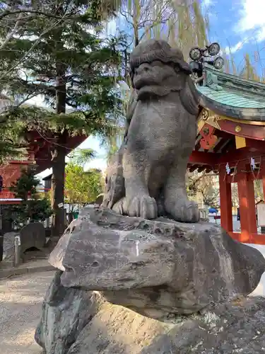 浅草神社の狛犬