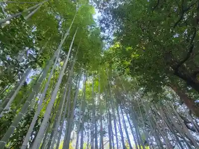 木野山神社(愛媛県)