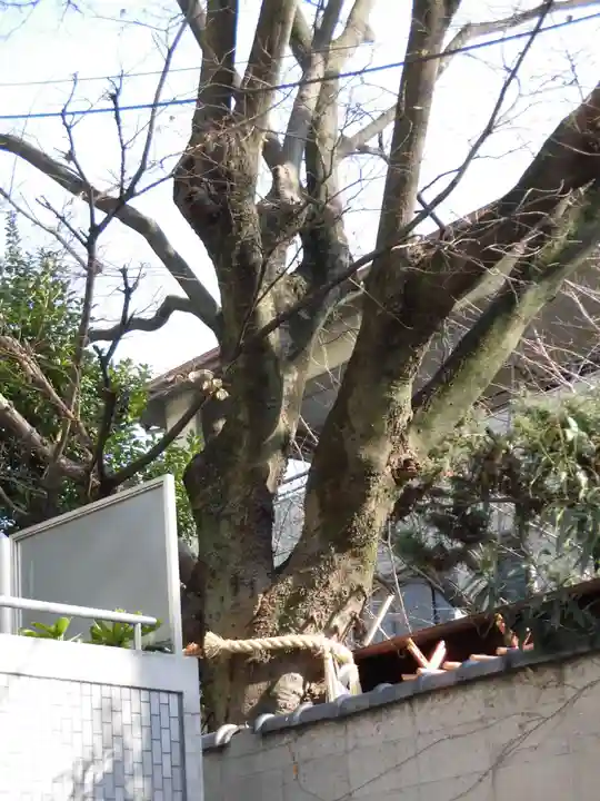 円珠庵(鎌八幡)(大阪府)