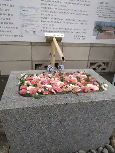 【閉業】小石川大神宮の手水舎