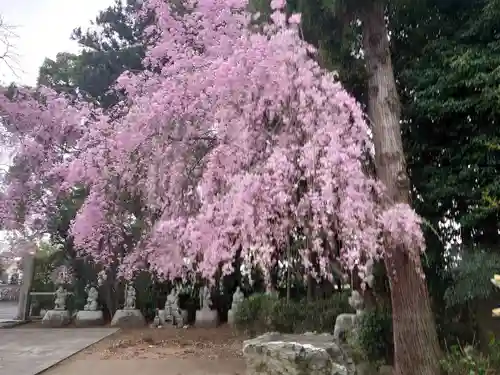 南光寺(笠懸不動尊)の自然