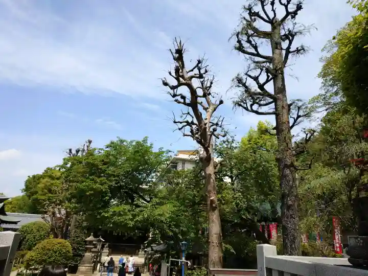 五條天神社の{uncategorized: "未分類", other: "その他", undefined: "問題あり", building: "その他建物", grave: "お墓", sacred_gate: "鳥居", guardian: "狛犬", statue: "像", buddha: "仏像", history: "歴史", nature: "自然", garden: "庭園", animal: "動物", pagoda: "塔", temizu: "手水舎", mountain_gate: "山門・神門", sanctuary: "本殿・本堂", subordinate: "末社・摂社", art: "芸術", scenery: "景色", jizo: "地蔵", ema: "絵馬", goshuin: "御朱印", omikuji: "おみくじ", items: "授与品その他", amulet: "お守り", goshuincho: "御朱印帳", eats: "食事", festival: "お祭り", votive_dance: "神楽", shichigosan: "七五三参", wedding: "結婚式", experience: "体験その他", initially: "初詣", around: "周辺", anti_infection: "感染症対策"}