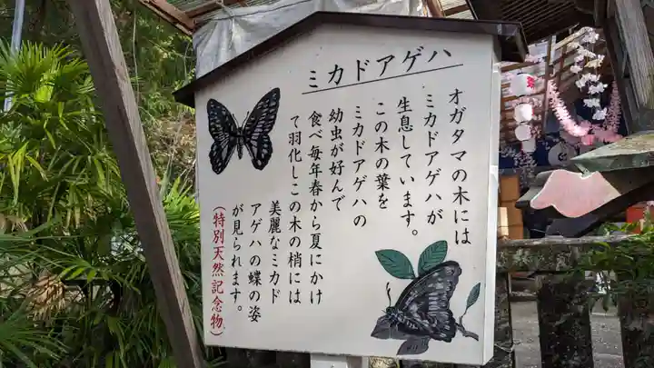 椙本神社の動物