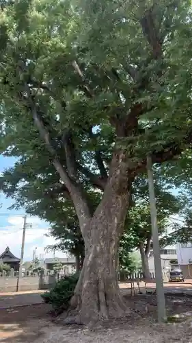 春日神社(山形県)