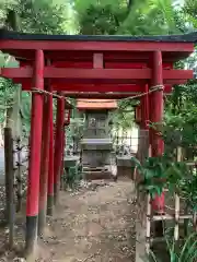 北新羽杉山神社(神奈川県)