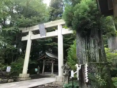 富士山東口本宮 冨士浅間神社の鳥居