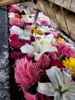 鳩森八幡神社の手水舎