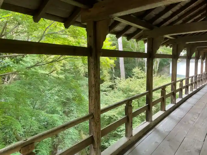 龍吟庵(竜吟庵)(京都府)