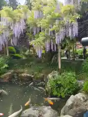 金蛇水神社の庭園