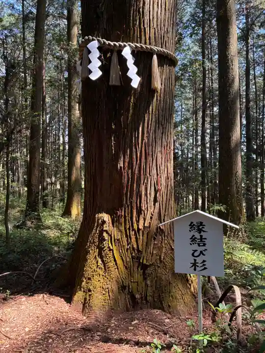 岩戸別神社(栃木県)