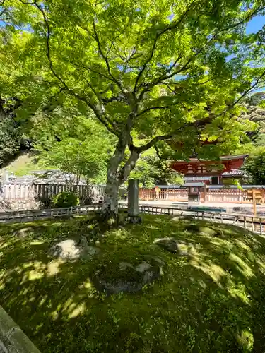 長谷寺(奈良県)