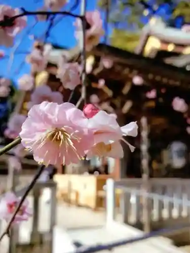 布多天神社(東京都)