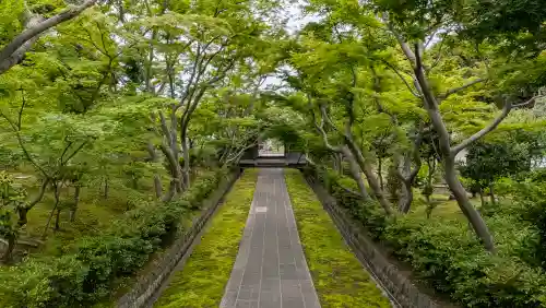 富士山東口本宮 冨士浅間神社の{uncategorized: "未分類", other: "その他", undefined: "問題あり", building: "その他建物", grave: "お墓", sacred_gate: "鳥居", guardian: "狛犬", statue: "像", buddha: "仏像", history: "歴史", nature: "自然", garden: "庭園", animal: "動物", pagoda: "塔", temizu: "手水舎", mountain_gate: "山門・神門", sanctuary: "本殿・本堂", subordinate: "末社・摂社", art: "芸術", scenery: "景色", jizo: "地蔵", ema: "絵馬", goshuin: "御朱印", omikuji: "おみくじ", items: "授与品その他", amulet: "お守り", goshuincho: "御朱印帳", eats: "食事", festival: "お祭り", votive_dance: "神楽", shichigosan: "七五三参", wedding: "結婚式", experience: "体験その他", initially: "初詣", around: "周辺", anti_infection: "感染症対策"}