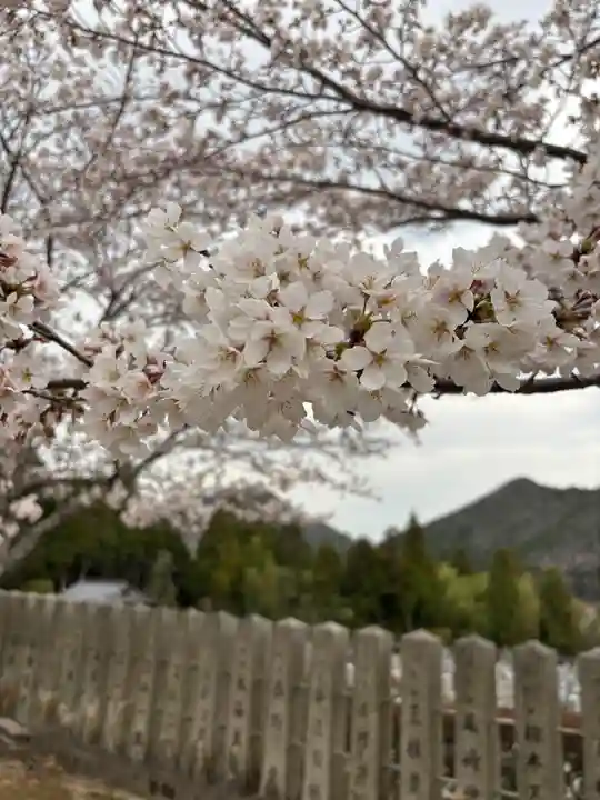 和田寺(兵庫県)