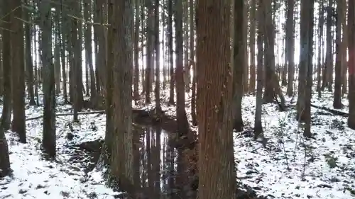 水分神社の自然