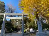 阿佐ヶ谷神明宮の鳥居