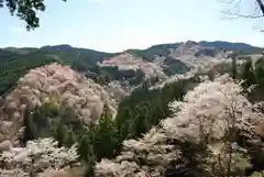 吉水神社の景色