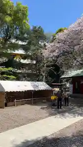 前原御嶽神社(千葉県)(2024年04月14日(日) 11時04分27秒投稿)