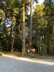 間々田八幡宮の自然