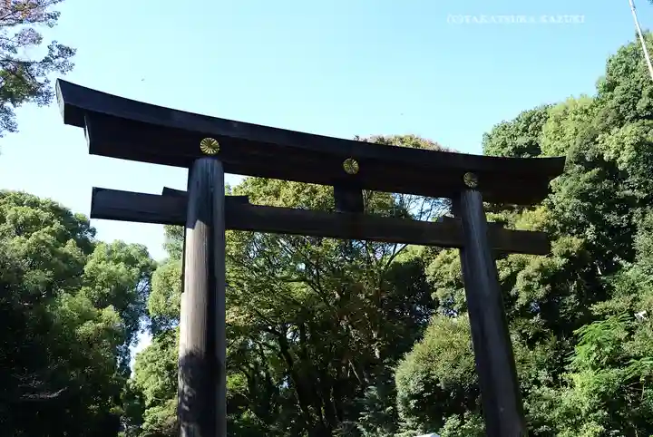 明治神宮(東京都)