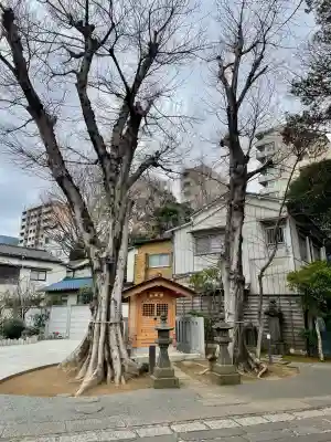 大林寺の{uncategorized: "未分類", other: "その他", undefined: "問題あり", building: "その他建物", grave: "お墓", sacred_gate: "鳥居", guardian: "狛犬", statue: "像", buddha: "仏像", history: "歴史", nature: "自然", garden: "庭園", animal: "動物", pagoda: "塔", temizu: "手水舎", mountain_gate: "山門・神門", sanctuary: "本殿・本堂", subordinate: "末社・摂社", art: "芸術", scenery: "景色", jizo: "地蔵", ema: "絵馬", goshuin: "御朱印", omikuji: "おみくじ", items: "授与品その他", amulet: "お守り", goshuincho: "御朱印帳", eats: "食事", festival: "お祭り", votive_dance: "神楽", shichigosan: "七五三参", wedding: "結婚式", experience: "体験その他", initially: "初詣", around: "周辺", anti_infection: "感染症対策"}