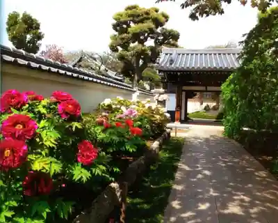 圓照寺(東京都)