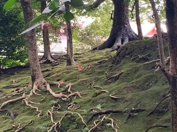 城南宮(京都府)