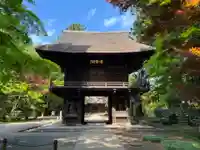 平林寺(埼玉県)