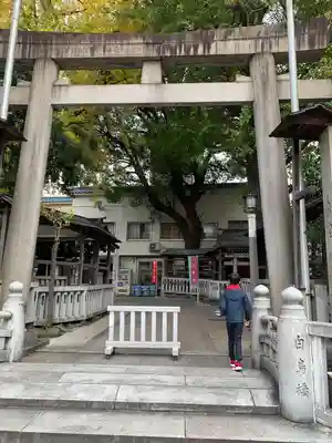 鳥越神社(東京都)