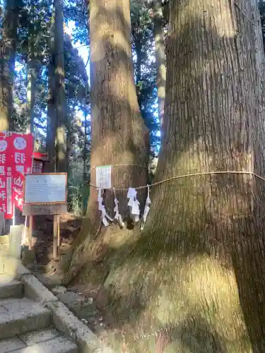 羽黒山神社(栃木県)