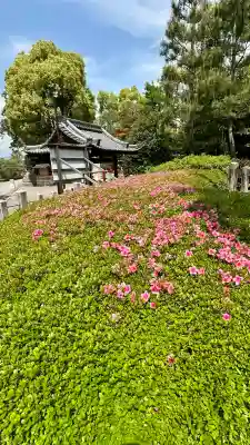 城南宮(京都府)