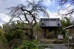 地蔵院の建物その他