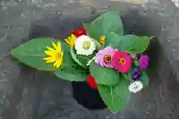 熊野福藏神社の手水舎