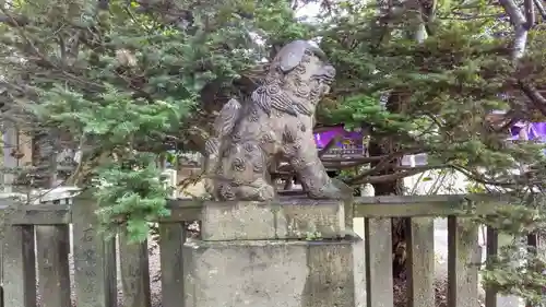 石狩八幡神社の狛犬