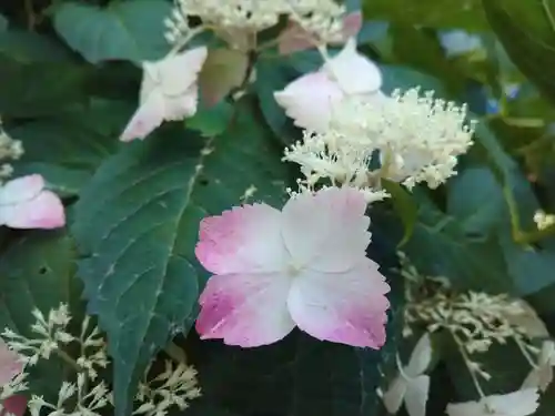 妙楽寺(神奈川県)