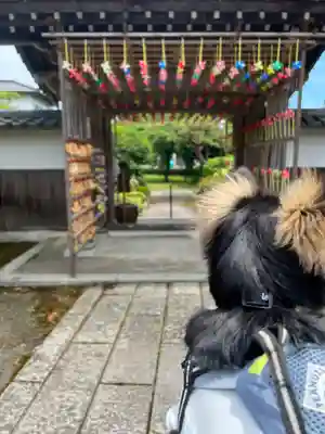 大室山龍渓院の山門・神門
