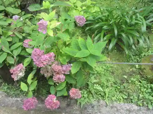 安國論寺（安国論寺）の庭園