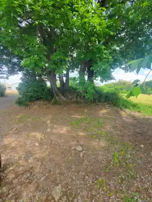 中島神社(群馬県)