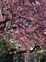 東陽寺(千葉県)