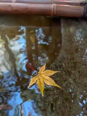 陽運寺(東京都)