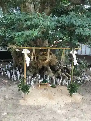 阿太加夜神社の末社・摂社