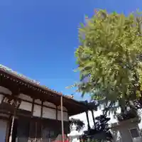 法話と天井絵の寺 観音寺の本殿・本堂