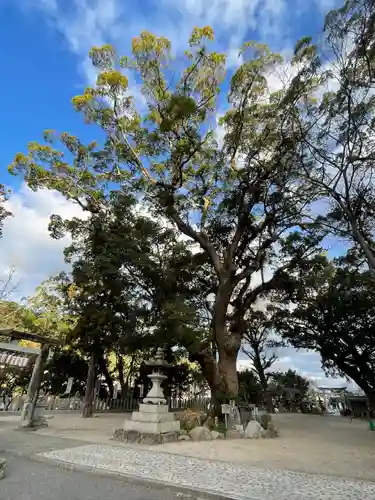 高倉神社の自然