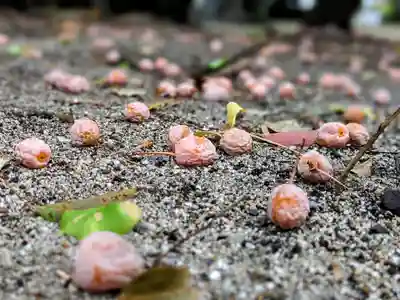 三津厳島神社(愛媛県)