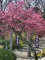 三春大神宮(福島県)