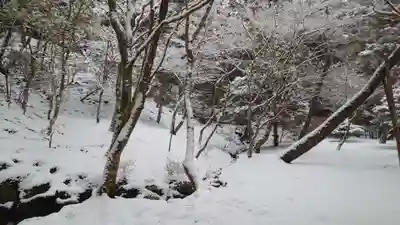 慈照寺（慈照禅寺・銀閣寺）(京都府)