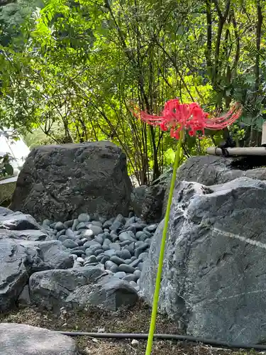 退蔵院(京都府)