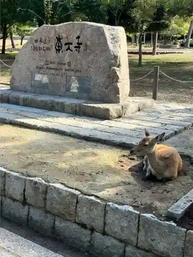 東大寺の{uncategorized: "未分類", other: "その他", undefined: "問題あり", building: "その他建物", grave: "お墓", sacred_gate: "鳥居", guardian: "狛犬", statue: "像", buddha: "仏像", history: "歴史", nature: "自然", garden: "庭園", animal: "動物", pagoda: "塔", temizu: "手水舎", mountain_gate: "山門・神門", sanctuary: "本殿・本堂", subordinate: "末社・摂社", art: "芸術", scenery: "景色", jizo: "地蔵", ema: "絵馬", goshuin: "御朱印", omikuji: "おみくじ", items: "授与品その他", amulet: "お守り", goshuincho: "御朱印帳", eats: "食事", festival: "お祭り", votive_dance: "神楽", shichigosan: "七五三参", wedding: "結婚式", experience: "体験その他", initially: "初詣", around: "周辺", anti_infection: "感染症対策"}